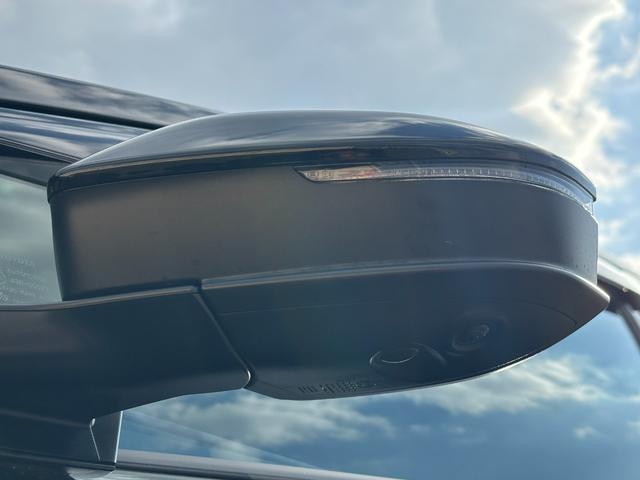 プリウス Z 純正12.3型ディスプレイ/全方位カメラ/AC100V/アドバンストパーク/デジタルミラー/パワーバックドア/BSM/ETC2.0/純正19インチAW/レーダークルーズ/パワーシート/シートメモリー(66枚目)