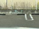 ͥ10