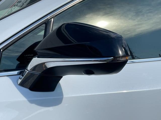 NX NX300h Fスポーツ ワンオーナー バック・サイドカメラ 追従クルーズコントロール レーンアシスト パワーシート 衝突被害軽減システム ナビ TV オートマチックハイビーム オートライト LEDヘッドランプ 電動リアゲート(23枚目)