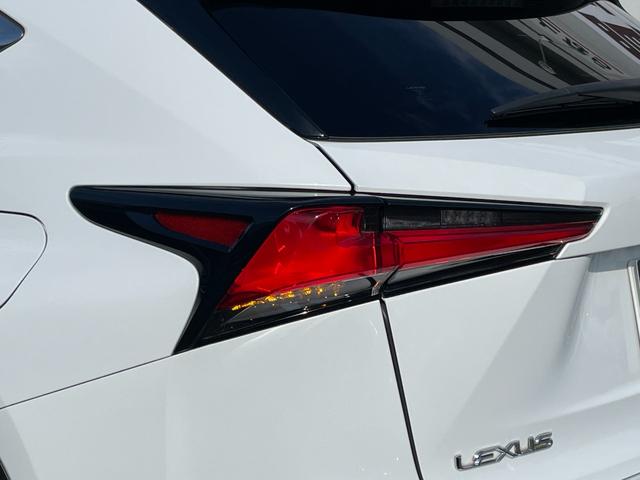 NX NX300h Fスポーツ ワンオーナー バック・サイドカメラ 追従クルーズコントロール レーンアシスト パワーシート 衝突被害軽減システム ナビ TV オートマチックハイビーム オートライト LEDヘッドランプ 電動リアゲート(24枚目)