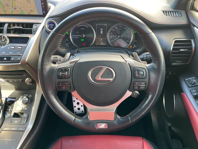 NX NX300h Fスポーツ ワンオーナー バック・サイドカメラ 追従クルーズコントロール レーンアシスト パワーシート 衝突被害軽減システム ナビ TV オートマチックハイビーム オートライト LEDヘッドランプ 電動リアゲート(33枚目)