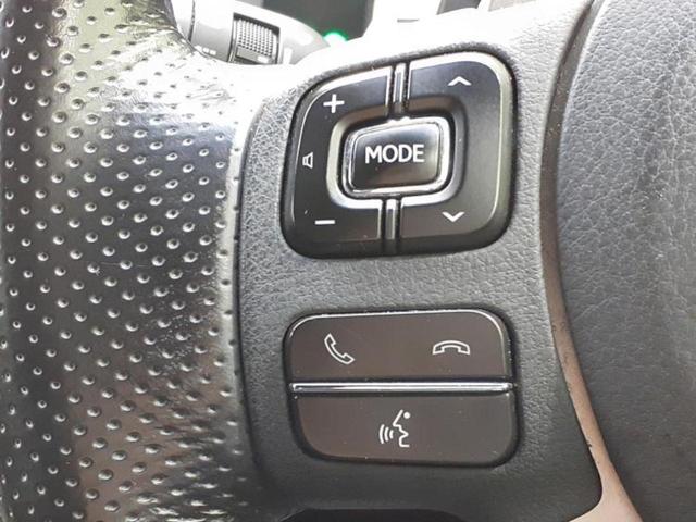 NX NX300h Fスポーツ 新品タイヤ/保証書/純正 SDナビ/シートエアコン/シート フルレザー/電動バックドア/ヘッドランプ LED/USBジャック/Bluetooth接続/ETC/EBD付ABS/横滑り防止装置 革シート(30枚目)