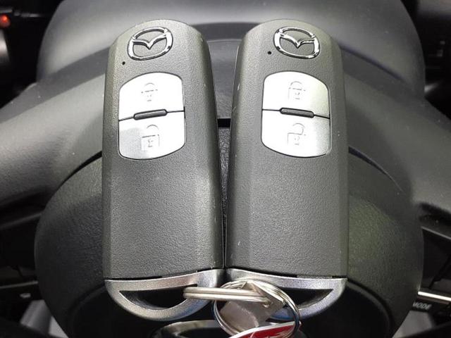 ＣＸ－３ ＸＤプロアクティブ　保証書／純正　ＳＤナビ／衝突安全装置／車線逸脱防止支援システム／シート　合皮／パーキングアシスト　バックガイド／ヘッドランプ　ＬＥＤ／ＥＴＣ／ＥＢＤ付ＡＢＳ／横滑り防止装置　衝突被害軽減システム（35枚目）