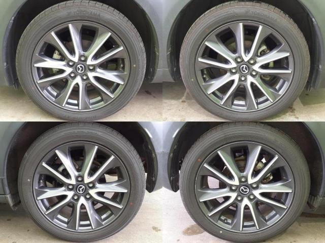 ＣＸ－３ ＸＤプロアクティブ　保証書／純正　ＳＤナビ／衝突安全装置／車線逸脱防止支援システム／シート　合皮／パーキングアシスト　バックガイド／ヘッドランプ　ＬＥＤ／ＥＴＣ／ＥＢＤ付ＡＢＳ／横滑り防止装置　衝突被害軽減システム（45枚目）