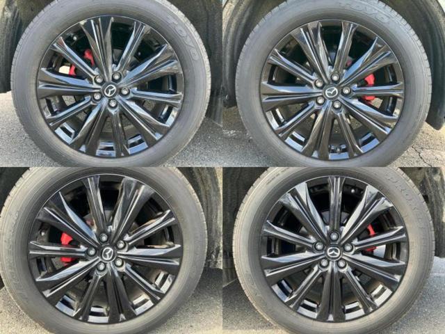 �u���̎Ԃ̎ʐ^�������ƌ������v�u��Ԃ��C�ɂȂ�v�u���̑����͂��Ă���H�v�ǂ�ȏ����ȋ^��ł����C�y�ɂ��₢���킹���������I