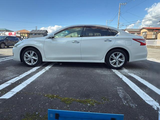 ティアナ XV(14枚目)