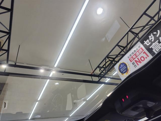 �K���X���[�t�ŁA�J�������Q�B