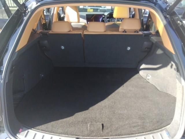 ＮＸ ＮＸ３５０ｈ　バージョンＬ　ワンオーナー　サンルーフ　革シート　キーレス　フルセグ　ナビ＆ＴＶ　２０アルミホイール　エアバッグ　電動シート　オートマ　フル装備　安全装備　助手席エアバッグ　サイドエアバッグ　衝突被害軽減システム（12枚目）