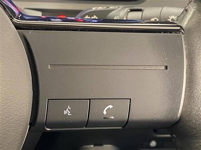 オーラ Ｇ　レザーエディション　ブラインドスポットモニタ　純正９インチナビ（フルセグ・Ｂｌｕｅｔｏｏｔｈ・ＣＤ・ＤＶＤ・ＵＳＢ）　全方位カメラ　ドライブレコーダー　デジタルインナーミラー　ＥＴＣ　コーナーセンサー　前席シートヒーター（24枚目）