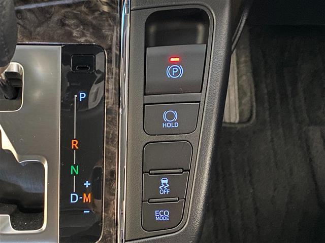 アルファード ２．５Ｓ　タイプゴールドＩＩＩ　ワンオーナー　純正後席モニター　ブラインドスポットモニター　デジタルインナーミラー　ハーフレザーシート　両側パワースライドドア　三眼ＬＥＤヘッドライト　パワーバックドア　リアオートエアコン　ナノイー（24枚目）