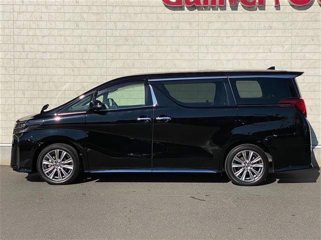 アルファード ２．５Ｓ　タイプゴールドＩＩＩ　ワンオーナー　純正後席モニター　ブラインドスポットモニター　デジタルインナーミラー　ハーフレザーシート　両側パワースライドドア　三眼ＬＥＤヘッドライト　パワーバックドア　リアオートエアコン　ナノイー（41枚目）