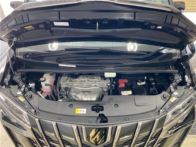 アルファード ２．５Ｓ　タイプゴールドＩＩＩ　ワンオーナー　純正後席モニター　ブラインドスポットモニター　デジタルインナーミラー　ハーフレザーシート　両側パワースライドドア　三眼ＬＥＤヘッドライト　パワーバックドア　リアオートエアコン　ナノイー（54枚目）