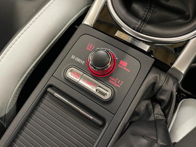 ＷＲＸ ＳＴＩ Ｓ２０８ＮＢＲチャレンジパックカーボントランクリップ　◇３５０台限定車◇フルオリジナル車両◇ＳＴＩスタイルＰＫＧ◇ＳＴＩスカートリップ◇純正レカロレザーシート◇純正ＢＢＳ１９ＡＷ◇純正ブレンボブレーキ◇純正カーボンルーフ◇純正カーボントランクスポイラー（50枚目）