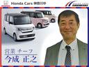 HONDA STEPWAGON SPADA