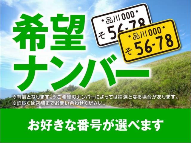 プリウスアルファ Ｇ　社外ＳＤナビ　フルセグ　Ｂｌｕｅｔｏｏｔｈ　バックカメラ　純正エンジンスターター（53枚目）