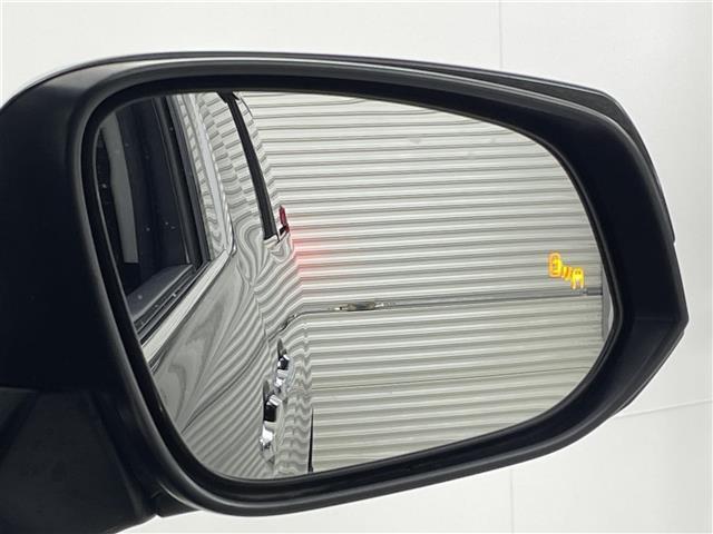 アルファード 2.5S Cパッケージ 両電動ドア 電動トランク 本革 レーダクルーズ コーナーセンサ オートLED パーキングサポート Bモニタ レーンキープ オットマン 地デジ サイドカメラ フロントカメラ エアロ DVD再生可能 3列(31枚目)