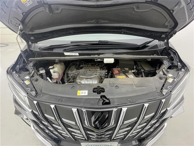 アルファード 2.5S Cパッケージ 両電動ドア 電動トランク 本革 レーダクルーズ コーナーセンサ オートLED パーキングサポート Bモニタ レーンキープ オットマン 地デジ サイドカメラ フロントカメラ エアロ DVD再生可能 3列(43枚目)