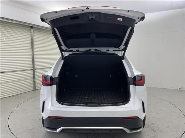 NX NX350h Fスポーツ Bluetoothオーディオ USB レーダーC 地デジ ETC2.0 ナビTV 電動パワーシート LEDヘッド ドライブレコーダー AWD メモリーナビ ミュージックプレイヤー接続可 オートエアコン(30枚目)