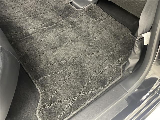 デイズ ハイウェイスター　Ｘ　プロパイロットエディション　スマートキー＆プッシュスタート　ＵＳＢ接続　コーナーソナー　Ｂｌｕｅｔｏｏｔｈオーディオ　ハイビームＡ　地デジ　オートライト　ＥＳＣ　ＬＥＤヘッド　レーダークルーズ　盗難防止装置　ＥＴＣ　ＤＶＤ再生（33枚目）