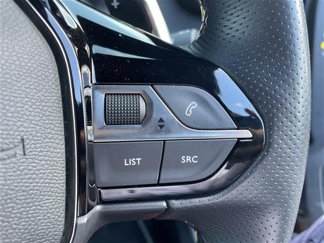 ２００８ ＧＴ　ブルーＨＤｉ（11枚目）
