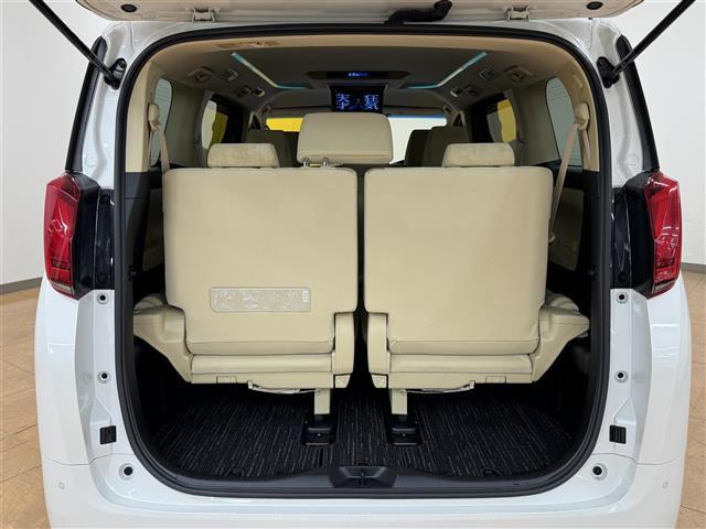 アルファード 2.5X Tコネクトナビ バックカメラ プリクラッシュセーフティー クルーズコントロール 両側電動スライドドア フリップダウンモニター Bluetooth フルセグTV ドライブレコーダー LEDヘッドライト(23枚目)