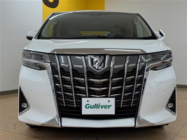 アルファード 2.5X Tコネクトナビ バックカメラ プリクラッシュセーフティー クルーズコントロール 両側電動スライドドア フリップダウンモニター Bluetooth フルセグTV ドライブレコーダー LEDヘッドライト(29枚目)