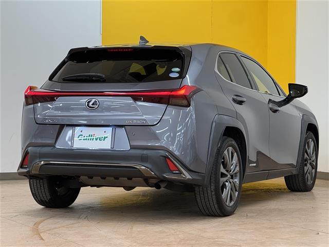 UX UX250h Fスポーツ メーカー純正ナビ パノラミックビューモニター パワーバックドア ETC2.0 シートメモリー 前席シートヒーター ハンドルヒーター サンルーフ 前後ドライブレコーダー Bluetooth フルセグTV(33枚目)