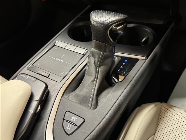 UX UX250h Fスポーツ メーカー純正ナビ パノラミックビューモニター パワーバックドア ETC2.0 シートメモリー 前席シートヒーター ハンドルヒーター サンルーフ 前後ドライブレコーダー Bluetooth フルセグTV(40枚目)