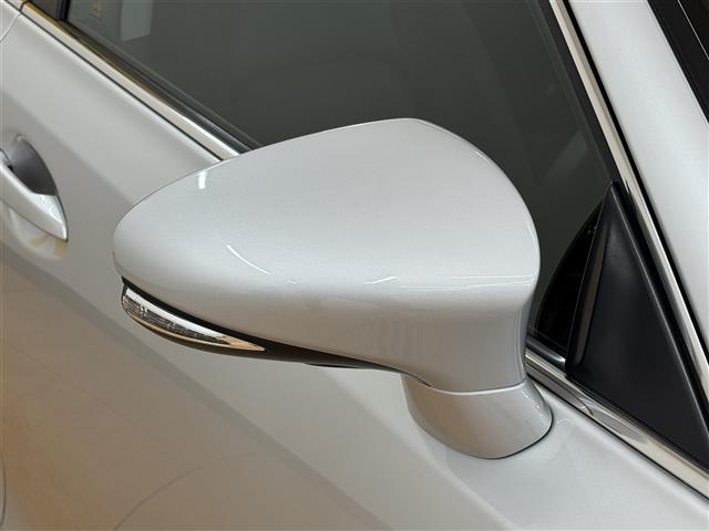 ＣＴ ＣＴ２００ｈ　純正ナビ　バックカメラ　レーダークルーズコントロール　プリクラッシュセーフティ　オートライト　フォグランプ　本革巻きステアリング　前席シートヒーター　スマートキー２本　純正１５ＡＷスタッドレス付車載（22枚目）