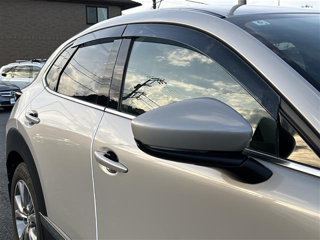 CX-30 XD プロアクティブ ツーリングセレクション 4WD ワンオーナー 純正8.8インチセンターディスプレイ ナビ機能付き 地デジTV CD DVD BT ラジオ再生 レーダークルーズコントロール レーンアシスト 衝突軽減ブレーキ(25枚目)