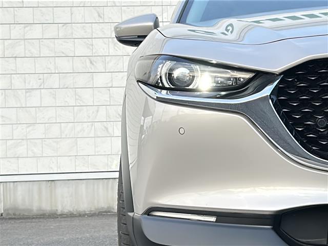 CX-30 XD プロアクティブ ツーリングセレクション 4WD ワンオーナー 純正8.8インチセンターディスプレイ ナビ機能付き 地デジTV CD DVD BT ラジオ再生 レーダークルーズコントロール レーンアシスト 衝突軽減ブレーキ(28枚目)