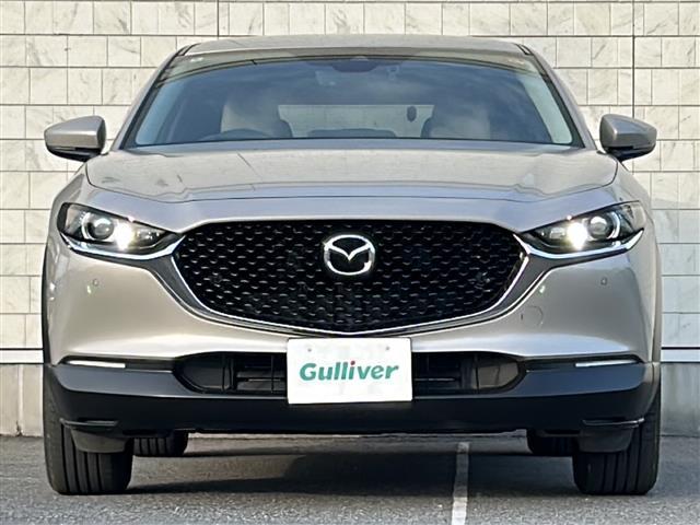 CX-30 XD プロアクティブ ツーリングセレクション 4WD ワンオーナー 純正8.8インチセンターディスプレイ ナビ機能付き 地デジTV CD DVD BT ラジオ再生 レーダークルーズコントロール レーンアシスト 衝突軽減ブレーキ(31枚目)