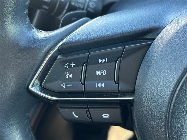 デミオ XDテーラードブラウン 純正メモリナビ 地デジTV CD DVD BT ラジオ再生 クルーズコントロール 衝突軽減ブレーキ ETC オートライト LEDヘッドライト 純正16inアルミホイール 純正フロアマット(10枚目)