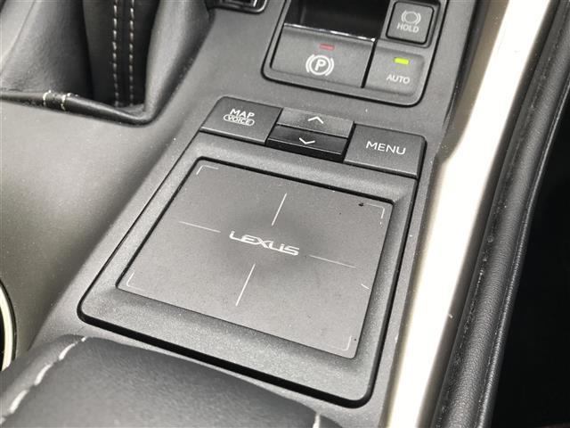 ＮＸ ＮＸ２００ｔ　純正ナビ／フルセグＴＶ／Ｂｌｕｅｔｏｏｔｈ／バックカメラ／ドライブレコーダー／衝突被害軽減ブレーキ／レーンキープアシスト／レーダークルーズコントロール／レザーシート／メモリー付パワーシート（21枚目）