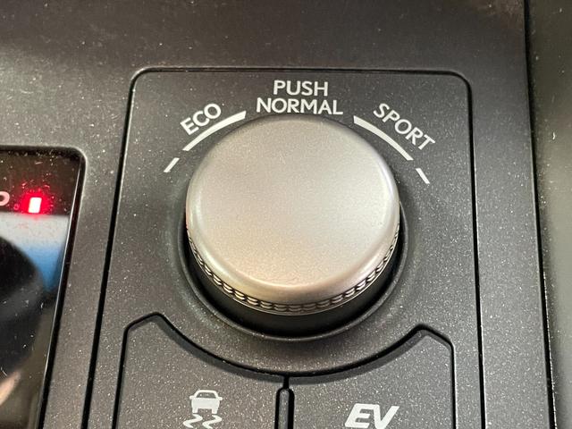NX300h Iパッケージ 純正ナビ/フルセグTV/全周囲カメラ/クルーズコントロール/ブラインドスポット/クリアランスソナー/サンルーフ /ステアリングヒーター/パワーバックドア/LEDヘッドライト/パドルシフト/ETC(32枚目)