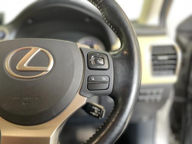 NX300h Iパッケージ 純正ナビ/フルセグTV/全周囲カメラ/クルーズコントロール/ブラインドスポット/クリアランスソナー/サンルーフ /ステアリングヒーター/パワーバックドア/LEDヘッドライト/パドルシフト/ETC(35枚目)