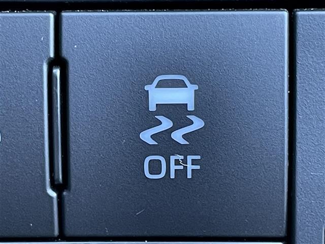 ライズ Ｇ　純正９インチナビ　バックカメラ　衝突軽減ブレーキ　コーナーセンサー　前後ドライブレコーダー　ＥＴＣ　前席シートヒーター　ＬＥＤヘッドライト　Ｂｌｕｅｔｏｏｔｈ　ＨＤＭＩ　ＵＳＢ　ＳＤ　スマートキー（29枚目）