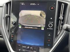 ڥХå˥۸Υα˥˱ǤФΤǡθʤѤ䡢㳲ʪȤεΥʤɤ⤷äǧ뤳ȤǤޤ 7