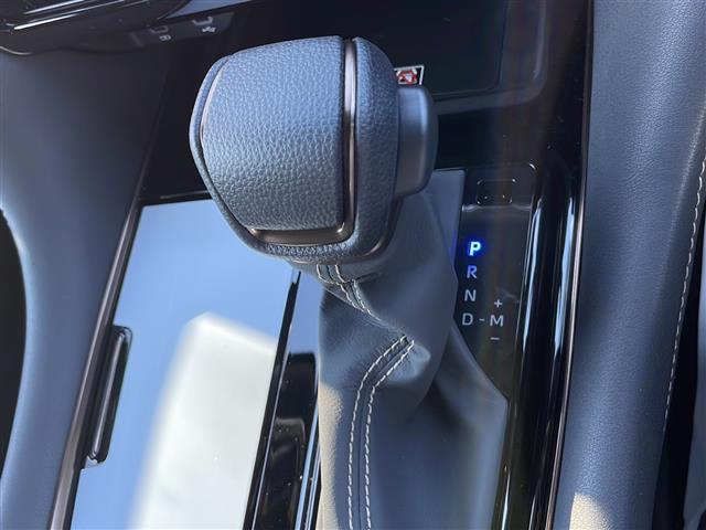 アルファード Z 純正ナビ フルセグTV Bluetooth Tconnect アラウンドビューモニター デジタルインナーミラー フリップダウンモニター ガラスルーフ 両側パワースライドドア パワーバックドア ETC(17枚目)