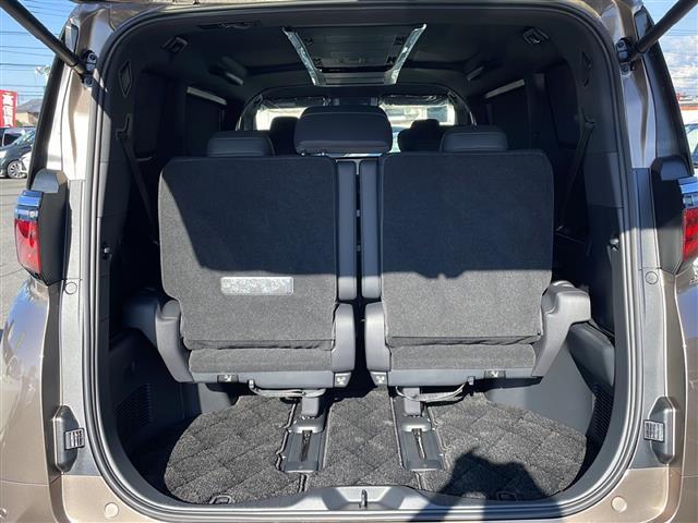 アルファード Z 純正ナビ フルセグTV Bluetooth Tconnect アラウンドビューモニター デジタルインナーミラー フリップダウンモニター ガラスルーフ 両側パワースライドドア パワーバックドア ETC(23枚目)