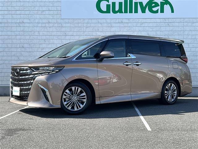 アルファード Z 純正ナビ フルセグTV Bluetooth Tconnect アラウンドビューモニター デジタルインナーミラー フリップダウンモニター ガラスルーフ 両側パワースライドドア パワーバックドア ETC(35枚目)