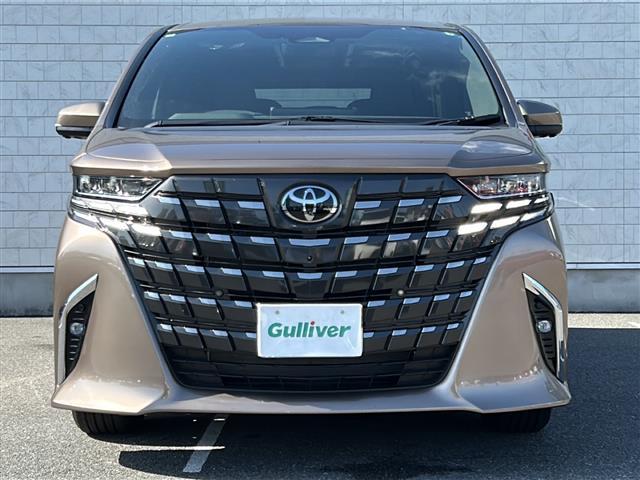 アルファード Z 純正ナビ フルセグTV Bluetooth Tconnect アラウンドビューモニター デジタルインナーミラー フリップダウンモニター ガラスルーフ 両側パワースライドドア パワーバックドア ETC(41枚目)