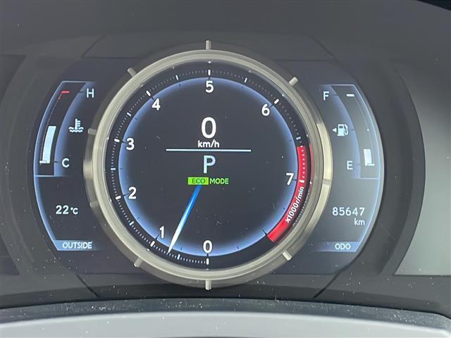 IS IS250 Fスポーツ 純正ナビ・Bluetooth CD DVD・TV フルセグ・バックカメラ クルーズコントロール ハーフレザーシート パワーシート シートヒーター ドライブレコーダー ETC(10枚目)