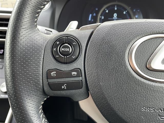 IS IS250 Fスポーツ 純正ナビ・Bluetooth CD DVD・TV フルセグ・バックカメラ クルーズコントロール ハーフレザーシート パワーシート シートヒーター ドライブレコーダー ETC(12枚目)