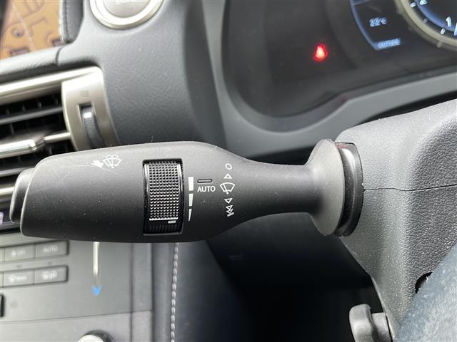 IS IS250 Fスポーツ 純正ナビ・Bluetooth CD DVD・TV フルセグ・バックカメラ クルーズコントロール ハーフレザーシート パワーシート シートヒーター ドライブレコーダー ETC(22枚目)