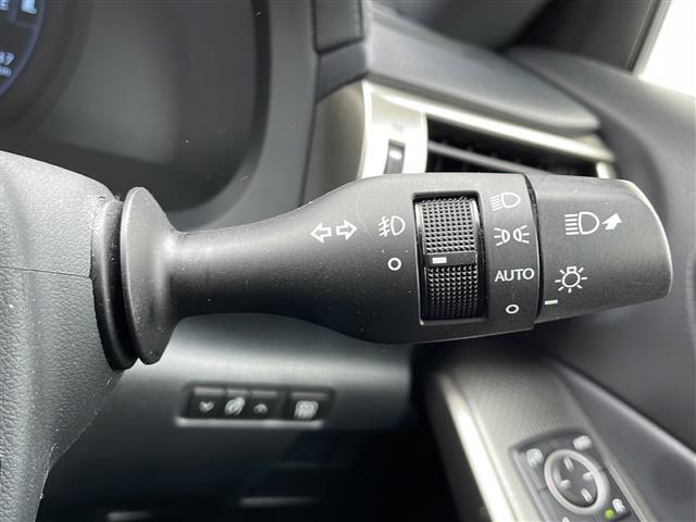 IS IS250 Fスポーツ 純正ナビ・Bluetooth CD DVD・TV フルセグ・バックカメラ クルーズコントロール ハーフレザーシート パワーシート シートヒーター ドライブレコーダー ETC(23枚目)