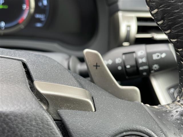 IS IS250 Fスポーツ 純正ナビ・Bluetooth CD DVD・TV フルセグ・バックカメラ クルーズコントロール ハーフレザーシート パワーシート シートヒーター ドライブレコーダー ETC(24枚目)