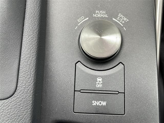 IS IS250 Fスポーツ 純正ナビ・Bluetooth CD DVD・TV フルセグ・バックカメラ クルーズコントロール ハーフレザーシート パワーシート シートヒーター ドライブレコーダー ETC(32枚目)