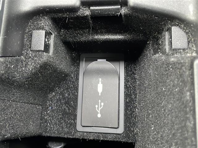 IS IS250 Fスポーツ 純正ナビ・Bluetooth CD DVD・TV フルセグ・バックカメラ クルーズコントロール ハーフレザーシート パワーシート シートヒーター ドライブレコーダー ETC(33枚目)