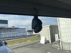 ڥɥ饤֥쥳۱žεϿĤޤΤʤɤ򵯤줿ξڵĤޤ¸ˤϣӣĥɤɬפȤʤޤ 7